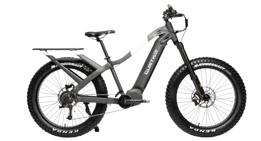 Best Fat Tire Electric Mountain Bikes