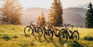 Classes of Electric Mountain Bikes: Types of Electric Bikes