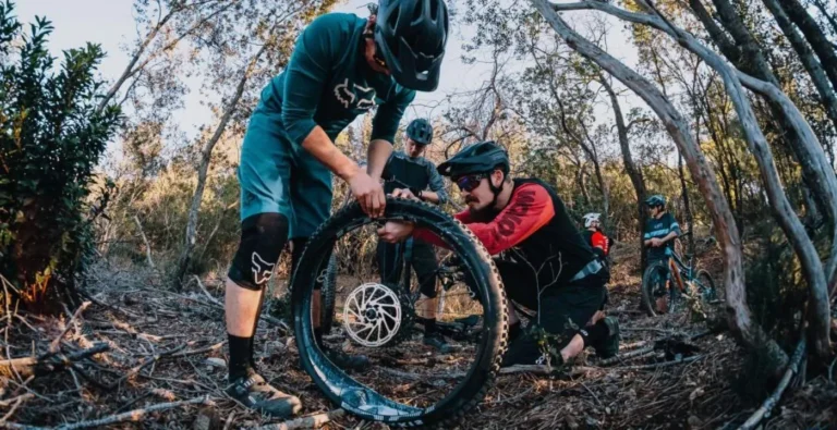 Is It Time to Change Your Mountain Bike Tires? Here to Tell