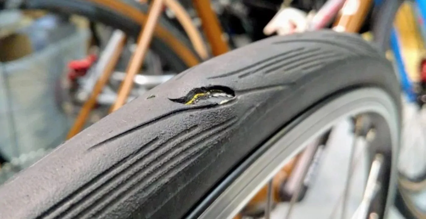 Is It Time to Change Your Mountain Bike Tires? Here to Tell