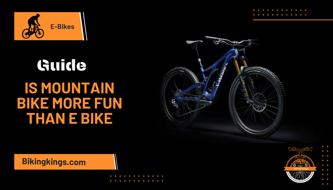 Best Budget E Mountain Bike