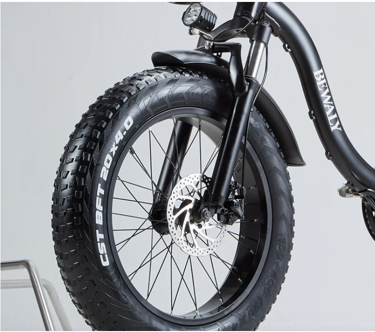 Mountain Burchda R8v E Bike